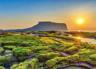 【韓國新航線】香港飛濟州單程$230起!來回連稅千一起!2020年3月底前出發 – 德威航空 (優惠至11月10日)