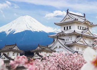 【日本閃減】香港來回大阪 / 東京$1,516起!連稅二千三起!北海道都有平!賞櫻季適用 – ANA 全日空 (優惠至12月3日)