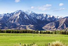 【直飛新西蘭】香港來回新西蘭各地$4,199起!連稅四千五起!2020年2月至6月份出發 – 新西蘭航空 (優惠至12月16日)