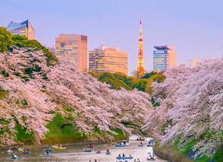 【日本靚價】香港來回東京$2,276起!連稅三千起!滑雪 / 賞櫻 / 繡球花適用!包46kg勁大行李 – 日本航空 (優惠至2020年1月31日)