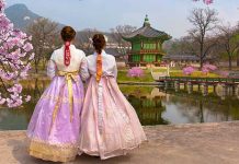 【遊韓賞櫻價】香港飛首爾單程$200起!櫻花季適用!2020年3月至4月份出發 – 易斯達航空 (優惠至12月8日)