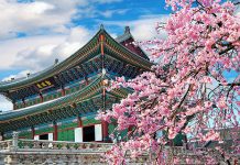 【韓櫻平飛】韓亞跟減!香港來回首爾$855起!連稅起!櫻花季適用!4月底前出發 – 韓亞航空 (優惠至12月31日)