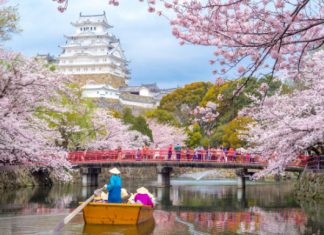 【賞櫻套票折上折】HK Express 大阪「機票+酒店」4日3夜$622起、5日4夜$765起、6日5夜$797起 – HK Express (優惠至1月19日)