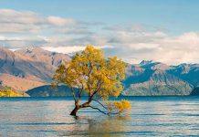 【新西蘭靚價】即飛 / 早鳥價!香港來回新西蘭各地$3,767起!南北兩島都有平!連稅三千九起!可 Open jaw – 維珍澳洲航空 (優惠至1月31日)