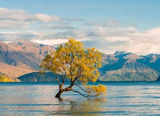 【新西蘭靚價】即飛 / 早鳥價!香港來回新西蘭各地$3,767起!南北兩島都有平!連稅三千九起!可 Open jaw – 維珍澳洲航空 (優惠至1月31日)