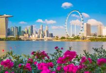 【暑假遊獅城】香港來回新加坡$1,005起!連稅千八起!可早去晚返!9月24日前出發 – 國泰航空 (優惠至1月20日)