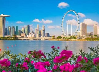 【暑假遊獅城】香港來回新加坡$1,005起!連稅千八起!可早去晚返!9月24日前出發 – 國泰航空 (優惠至1月20日)
