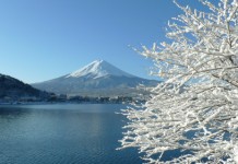 【零成本攞$10,725優惠券】抵到跳舞!栃木、山梨、茨城酒店高達50%OFF!額滿即止 – Relux