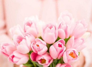 【母親節十大酒店優惠】住宿+紅酒+蛋糕+鮮花$880!住宿+早餐+自助午餐+下午茶+享用行政酒廊$1,500起!