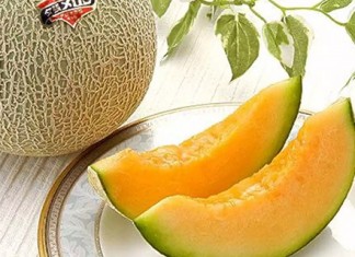 【在家旅行掃手信.日本篇】日本直送生果、零食!山形縣車厘子、北海道赤肉蜜瓜、草莓花束餅、名古屋蝦片!唔洗排隊買、在家歎人氣手信 – KKday