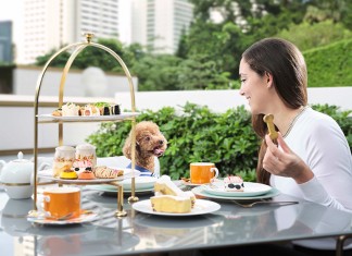 【限時閃減】香港美利酒店「寵兒度假遊」!兩人一毛孩:升級客房+寵物迎賓禮遇+寵物主題下午茶+$900餐飲額+早餐+提前入住及延遲退房:$2,240起 – 香港美利酒店 (優惠至8月23日)