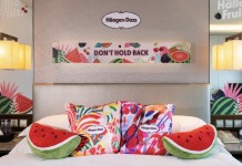 Häagen-Dazs™ 咕抱枕