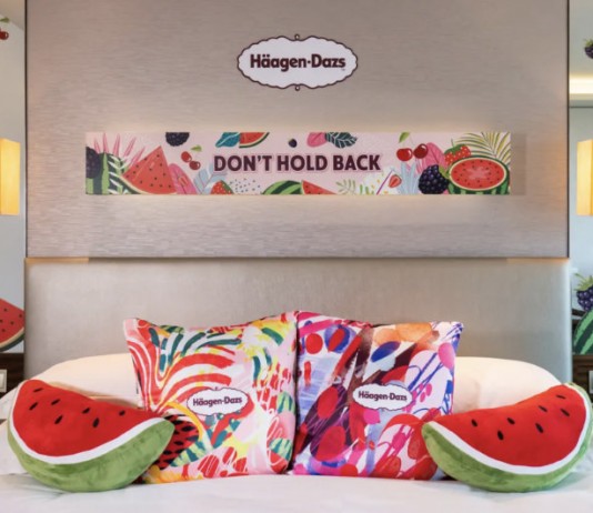 Häagen-Dazs™ 咕抱枕