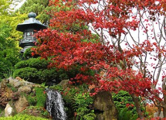 【日本賞楓遊】輕井澤、伊豆、鎌倉、東京9日旅行團:全包價$15,699起!賞楓+溫泉+Shopping+美食之旅