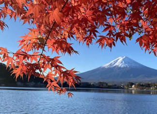 【秋冬遊日本】ANA 復飛羽田!香港來回東京$3,147起!連稅五千起!包 46kg 勁大行李!賞楓 / 滑雪之旅