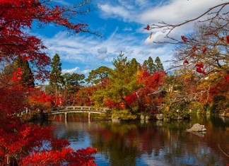 【秋冬飛日本】國泰.大阪「機票+酒店」連稅:5日4夜$5,345起、7日6夜$5,510起!包23kg寄艙額