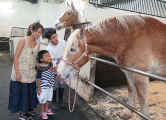 【愉景灣酒店.親親馬兒 staycation】住宿+自助早餐+自助晚餐+親親馬兒活動$1,888起 (包服務費)!另有包下午茶 / 早午晚3餐方案