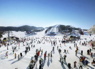 【韓國冬季必玩】滑雪 local tours 折上折!芝山滑雪一天遊 / Welli Hilli Park 滑雪度假村 / Vivaldi Park 維爾瓦第滑雪場2天1夜