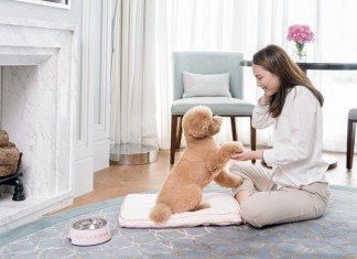 「萬千寵愛」寵物住宿套餐