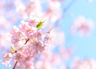 【東京同行優惠】香港來回東京$1,785起!連稅二千六起 – 香港航空