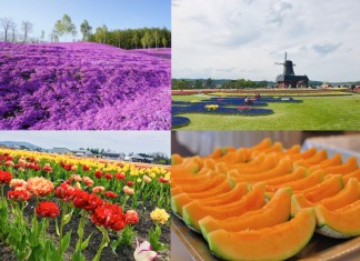 【半價日本 local tour】玩盡日本南與北!沖繩、北海道四大 local tour 低至5折優惠!