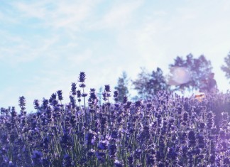 【抵呀!北海道再減多啲】香港來回札幌$2,442起!Mastercard 再減$500!連稅三千起!10月前出發 – 香港航空