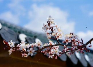 【韓亞首爾靚價】香港來回首爾$1,443起!連稅二千二起!2人同行可用優惠碼額外再減高達$200!