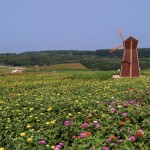 【買一送一!$199河源自助餐純玩2天團】入住5星精品酒店+古石龍休閑農莊+3餐全自助餐