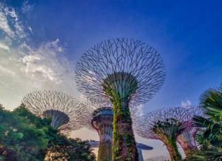 【新航限時優惠】香港來回新加坡$1,350起!連稅千九起!KrisFlyer 會員尊享無限量機上 Wi-Fi|新加坡航空