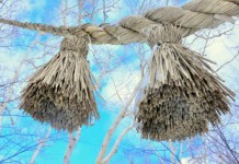 【港航日本線全線 Mega Sale】日本九大航線低至千二起!包埋寄艙行李|鹿兒島 / 熊本 / 沖繩 / 仙台 / 福岡 / 名古屋 / 大阪 / 東京 / 札幌|香港航空