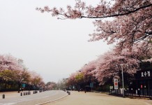 【港航韓國優惠】香港飛首爾來回連稅$1,058起!可早去晚返!出發日期至6月26日|香港航空