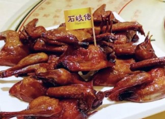 【買一送一!$148中山美食一天團+送20吋行李箱】石岐乳鴿風味宴+神灣菠蘿水果下午茶+金獎脆肉鯇燒鵝晚宴+南京同仁堂+參觀蘆薈大觀園 / 螺旋藻健康生活館|逢星期六出發