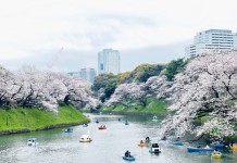 【ANA再激減】香港飛東京 / 北海道連稅$2,715起!免費送兩程內陸機!明年1至3月出發|ANA全日空