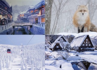 【日本行程優惠】新春遊日行大運!東京 / 東北 / 大阪 / 京都 / 名古屋 / 福岡一日遊、門票低至6折!冬季限定銀山温泉、藏王樹冰、狐狸村、白川鄉、京都美山|Klook 放試玩盡新年